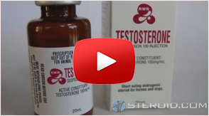 Watch our Testosterone Propionate Video Profile